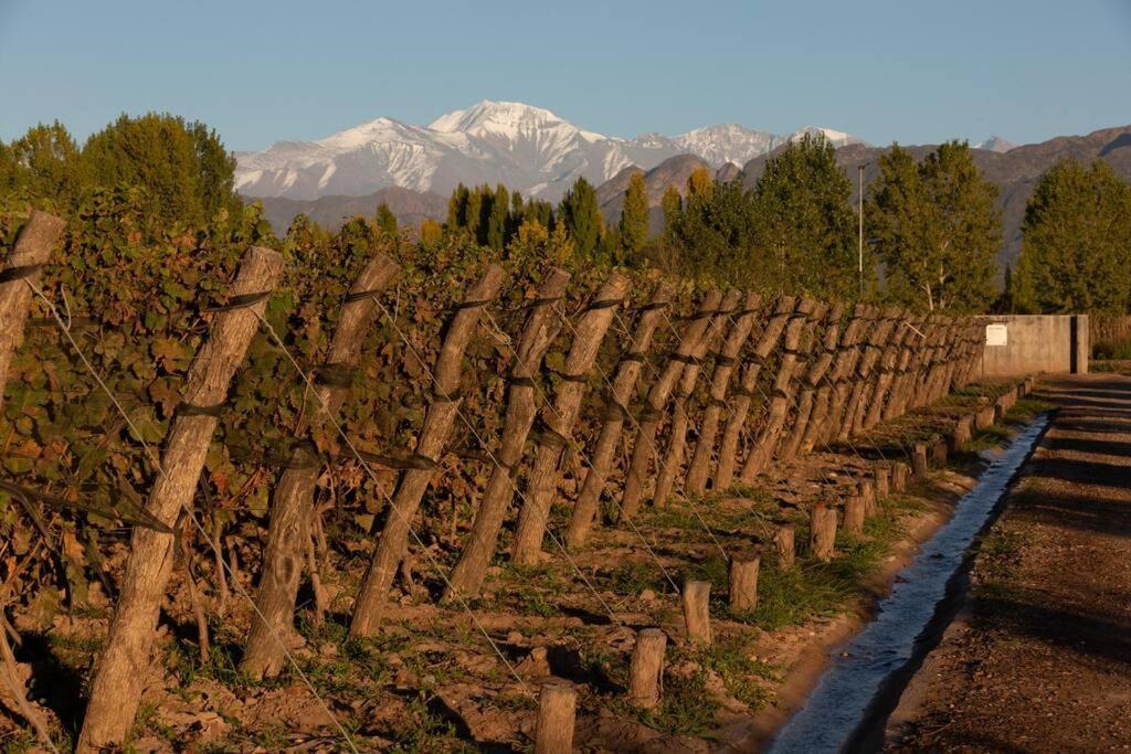 Bodega Durigutti Family Winemakers Villa Las Compuertas Exterior photo