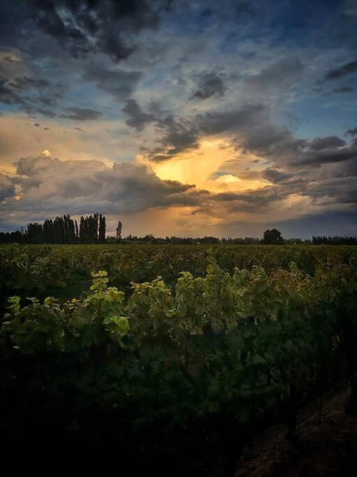 Bodega Durigutti Family Winemakers Villa Las Compuertas Exterior photo